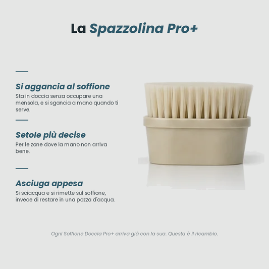 Spugna e Spazzolina Pro+