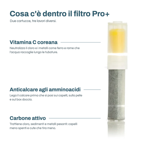 Cosa c'è dentro il filtro Pro+: vitamina C coreana, anticalcare agli amminoacidi, carbone attivo