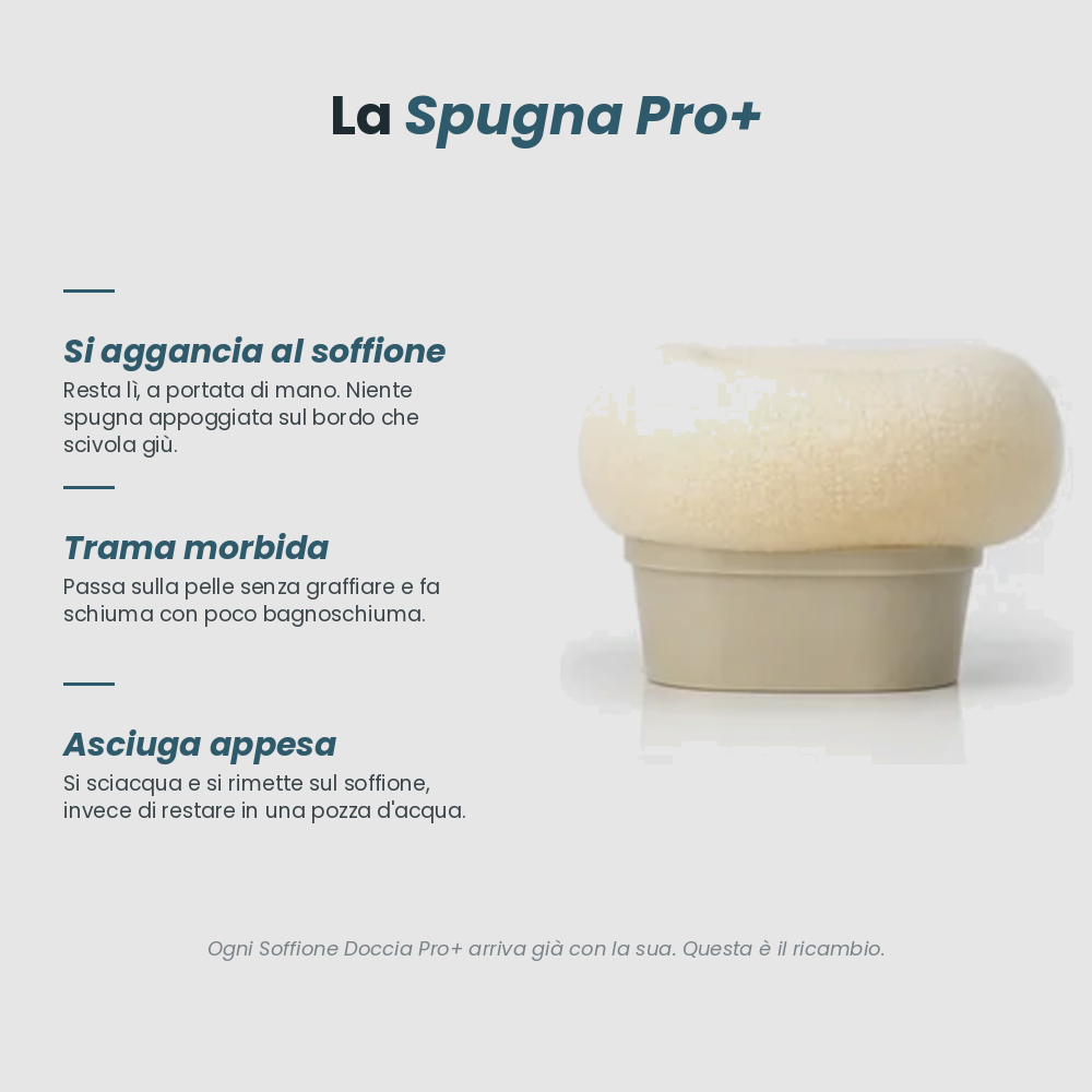 Spugna e Spazzolina Pro+
